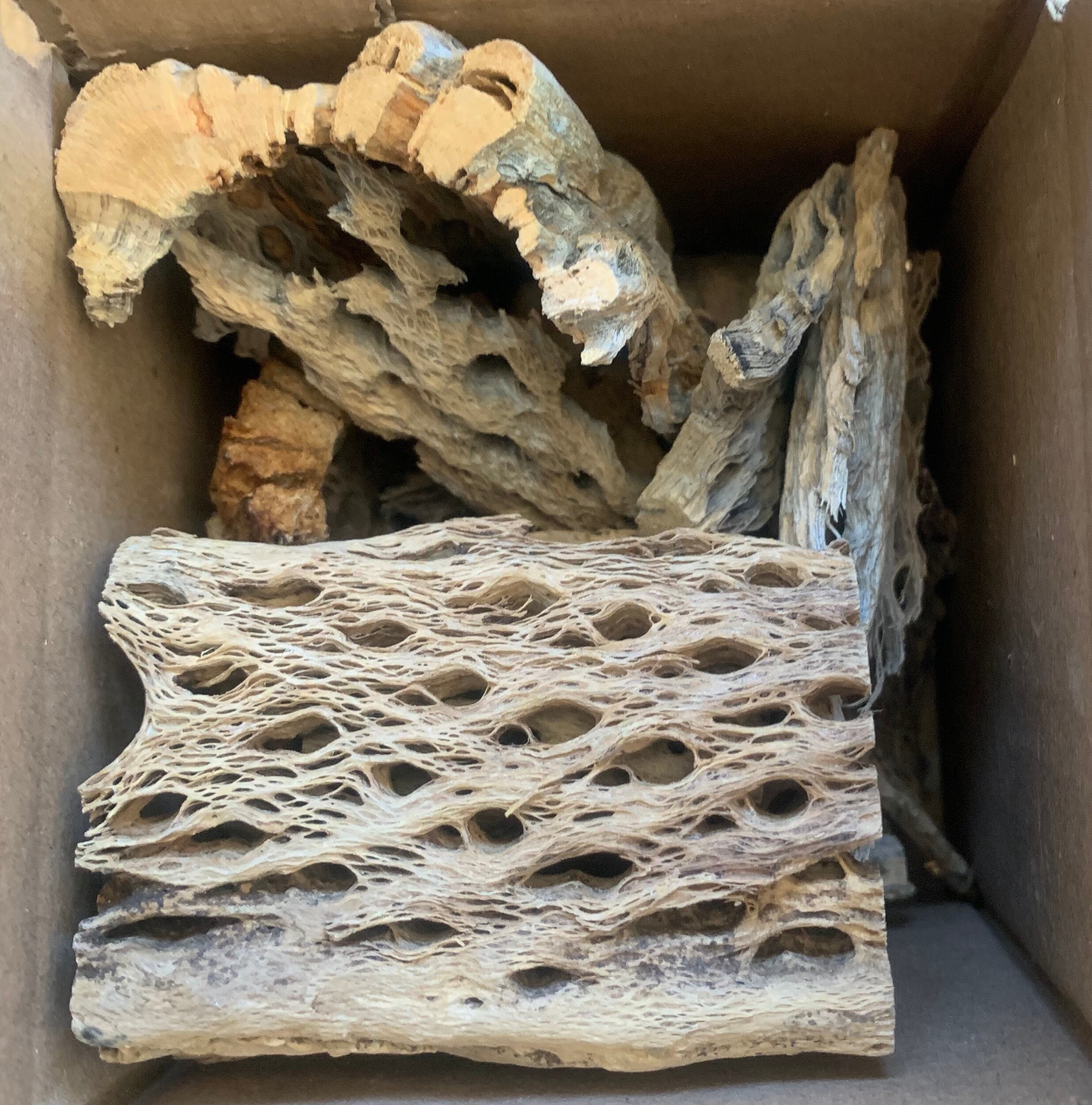 Aquariums,Crafts 100% Organic & Ecologically Harvested Natural Cholla Wood Chews 3- Pack of 4 Aquariums,Crafts 100% Organic & Ecologically Harvested Natural Cholla Wood Chews 3- Pack of 4