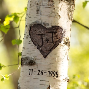 Carved Birch Canvas Art Personalized Gift