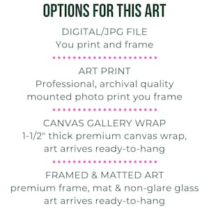 May include: A graphic with text describing different options for purchasing art. The options include a digital file, an art print, a canvas gallery wrap, and a framed and matted art print. The text is in a green font with pink dots separating each option.