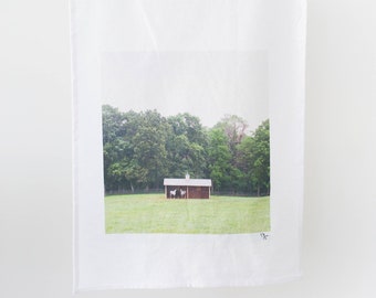 Horses Pasture Shed photograph on Flour Sack Towel "Sharing the Shed" / Horse Tea Towel / Equestrian Tea Towel / Horse Gift /