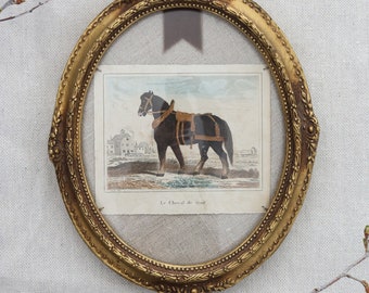 Equestrian Mixed Media - French Horse Art - Equestrian Art - Vintage Frame - Equestrian Decor - Upcycled Art