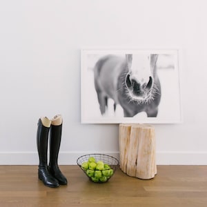 Modern Black and White Photograph of a Horse Muzzle and Whiskers &quot;Whiskers&quot; / Scandinavian Horse Art / Horse Photo / Equestrian Home Decor
