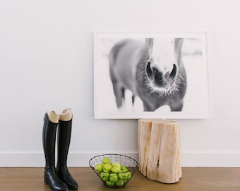 Moderne zwart-wit foto van een paardensnuit en snorharen "Snorharen" / Scandinavische paardenkunst / paardenfoto / paardensport Home Decor