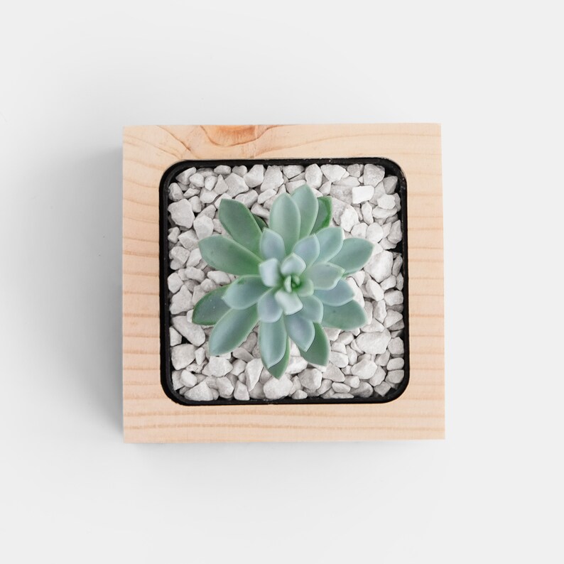 Wooden Pot Desk Plant Pot Office Desk Accessories Desk Etsy