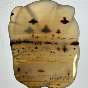 Può includere: Un'agata marrone chiaro con un motivo unico di dendriti marroni scure. L'agata ha una superficie liscia e lucida e una forma irregolare.