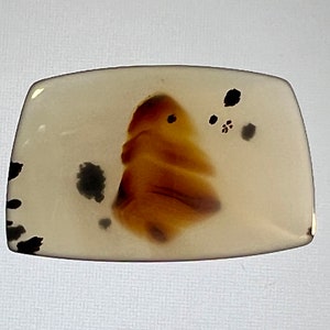 Può includere: Un cabochon di agata marrone chiaro con inclusioni nere e bianche. L'agata è traslucida e ha una superficie liscia e lucida.