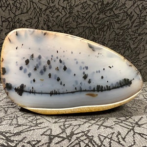 Montana Agate Polished Specimen