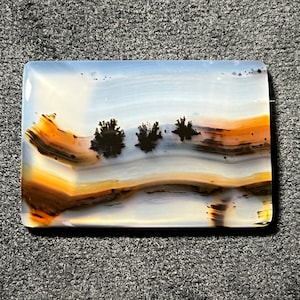 Può includere: Una lastra di agata lucidata con un motivo a bande bianche, blu e arancioni. L'agata presenta tre formazioni dendritiche nere che ricordano alberi.