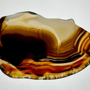 Montana Agate Polished Slab