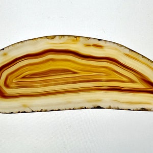 Montana Agate Polished Slab