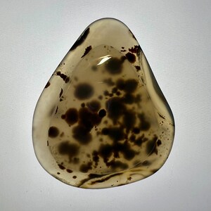Può includere: Una pietra di agata marrone chiaro con macchie marroni scure e nere. La pietra ha una forma irregolare e una superficie liscia e lucida.