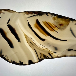 Montana Agate Polished Slab
