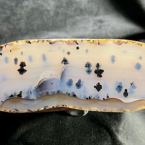 Montana Agate Polished Specimen