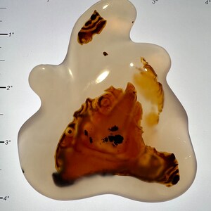 Può includere: Un grande agata di forma irregolare con bande marroni, bianche e nere. L'agata è traslucida e ha una superficie liscia e lucida.