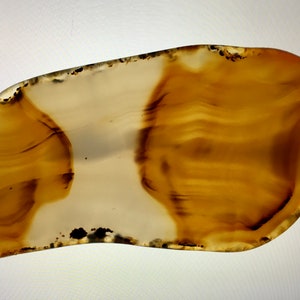 Montana Agate Polished Slab