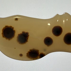 Può includere: Una pietra di agata marrone chiaro con motivi dendritici marroni scuri. La pietra ha una forma irregolare e una superficie liscia e lucida.