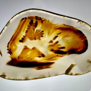 Montana Agate Polished Slab