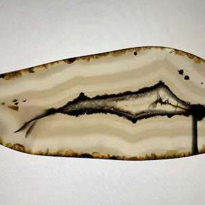 Montana Agate Polished Slab