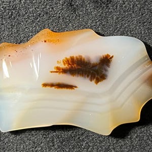 Può includere: Un'agata bianca con inclusioni dendritiche marroni. L'agata ha una superficie liscia e lucida e una forma organica unica.