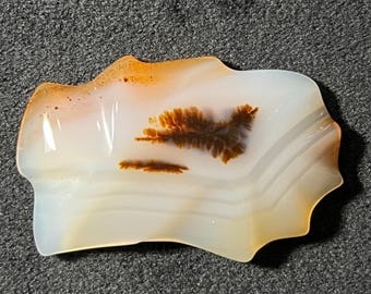 May include: A white agate with brown dendritic inclusions. The agate has a smooth, polished surface and a unique, organic shape.