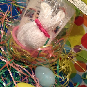 Spa Easter Bunny Baskets image 2