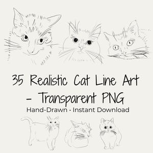 May include: Line art illustrations of cats in various poses and expressions. The image includes the text "35 Realistic Cat Line Art - Transparent PNG" and "Hand-Drawn • Instant Download". The drawings are in black on a cream background.