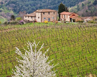 Tuscany, Italy, Photography, Italian landscape, art décor, wall art, canvas, metal