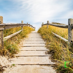 Photography, Ocean, Pathway, Maine, art decor, wall art, canvas, metal, America, USA