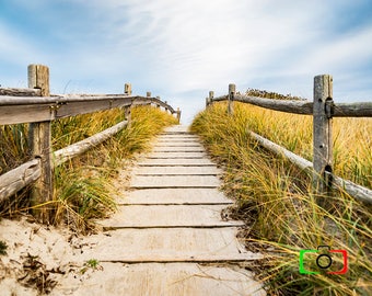 Photography, Ocean, Pathway, Maine, art decor, wall art, canvas, metal, America, USA