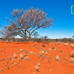 Australia, Photography, Outback, the Red Center, landscape, metal, canvas