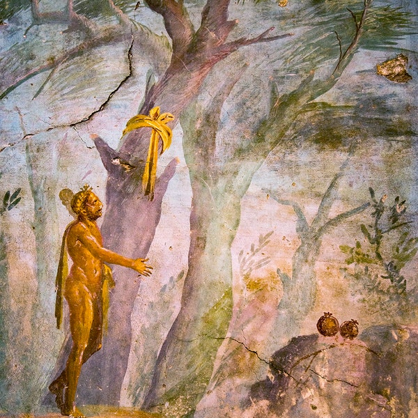 Photography, Roman, fresco, mural, Oplontis, Italy, canvas, metal