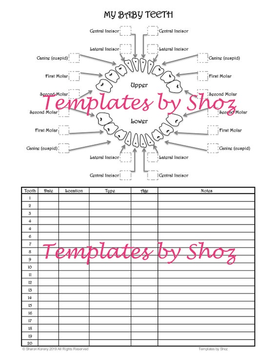 Teeth Size Chart