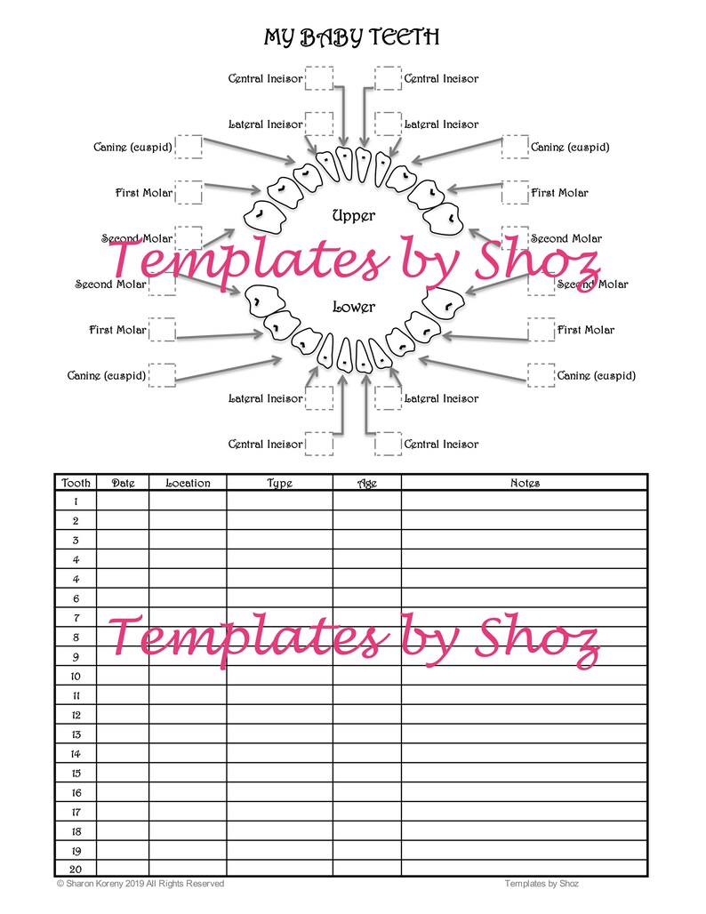 Printable Youngster Tooth Chart picture relating to Baby Tooth Chart Printable known as Printable Youngster Tooth Chart