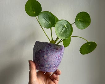 Handmade Ceramic Plant Pot | Speckled Planter | Small Succulent Pot | Modern Home Decor