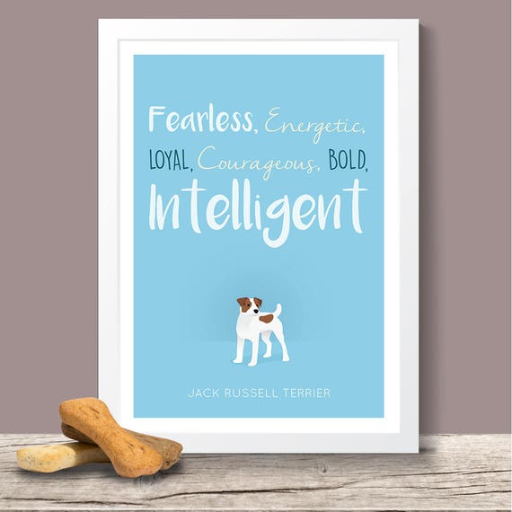 Jack Russell Terrier Personality Trait Poster Jack Russell