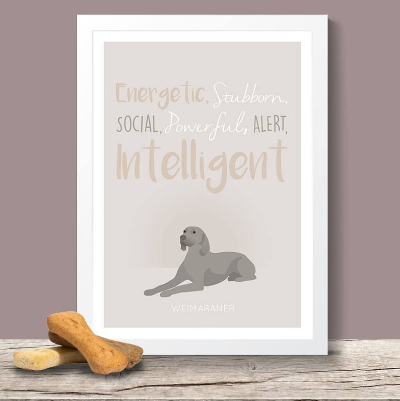 Great Gift for Weimaraner lovers Weimaraner Personality Trait Poster
