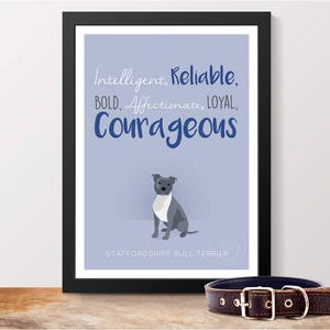 Staffordshire Bull Terrier Breed Traits Print - Great Gift for Staffordshire Bull Terrier Lovers