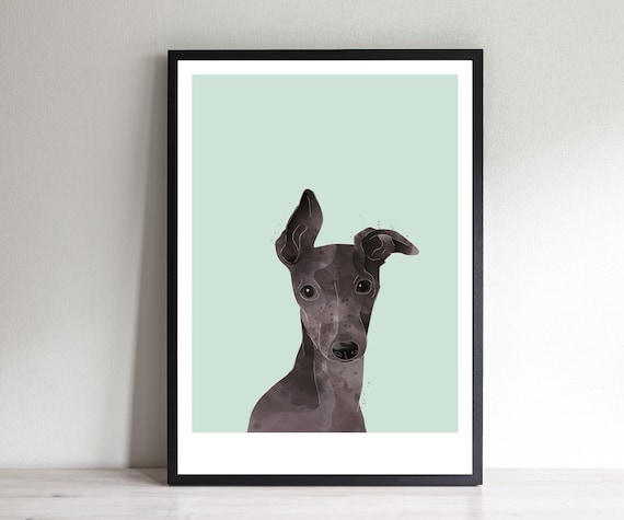Italian Greyhound Print Italian Greyhound Wall Art Greyhound Art Greyhound Gift Dog Portrait Etsy