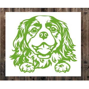 Cavalier King Charles Spaniel Decal, Spaniel Sticker, Cavalier King Charles Lover, Peeking Spaniel Decal, Dog Treats Sticker, Dog Mom Decal