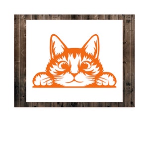 2x Peeking Cat Vinyl Decal Original From 2018 Cat Sticker 