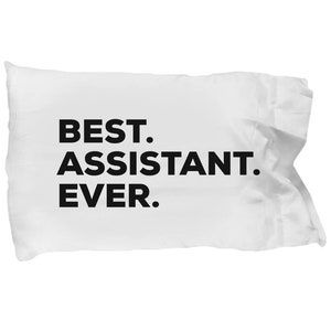 Assistant Pillow Case ,Gifts For Assistant , Best Assistant Ever, Assistant Pillowcase