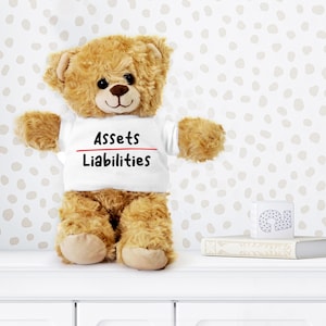 Accountant Teddy Bear, Gift for Accountant, Plush Teddy Bear with Tee, Accountant Gift Idea, Accountant Appreciation Gift