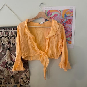 May include: A light orange, long-sleeved top with a tie front and ruffled collar. The top is hanging on a wooden hanger. The sleeves have a flared design. A colorful poster is visible in the background.