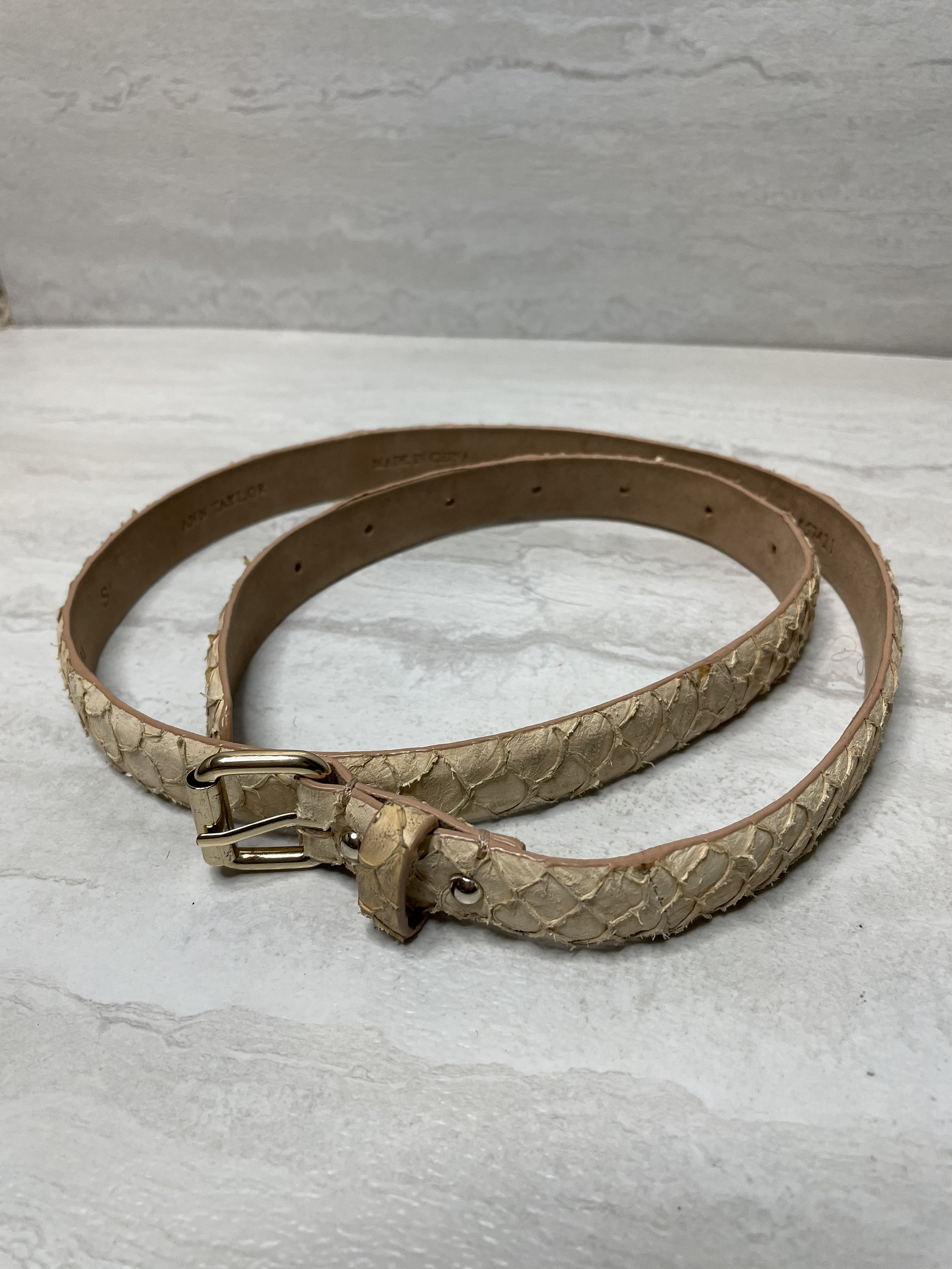 Ann Taylor Light Tan Leather Belt Suede Studded Belt main image 4