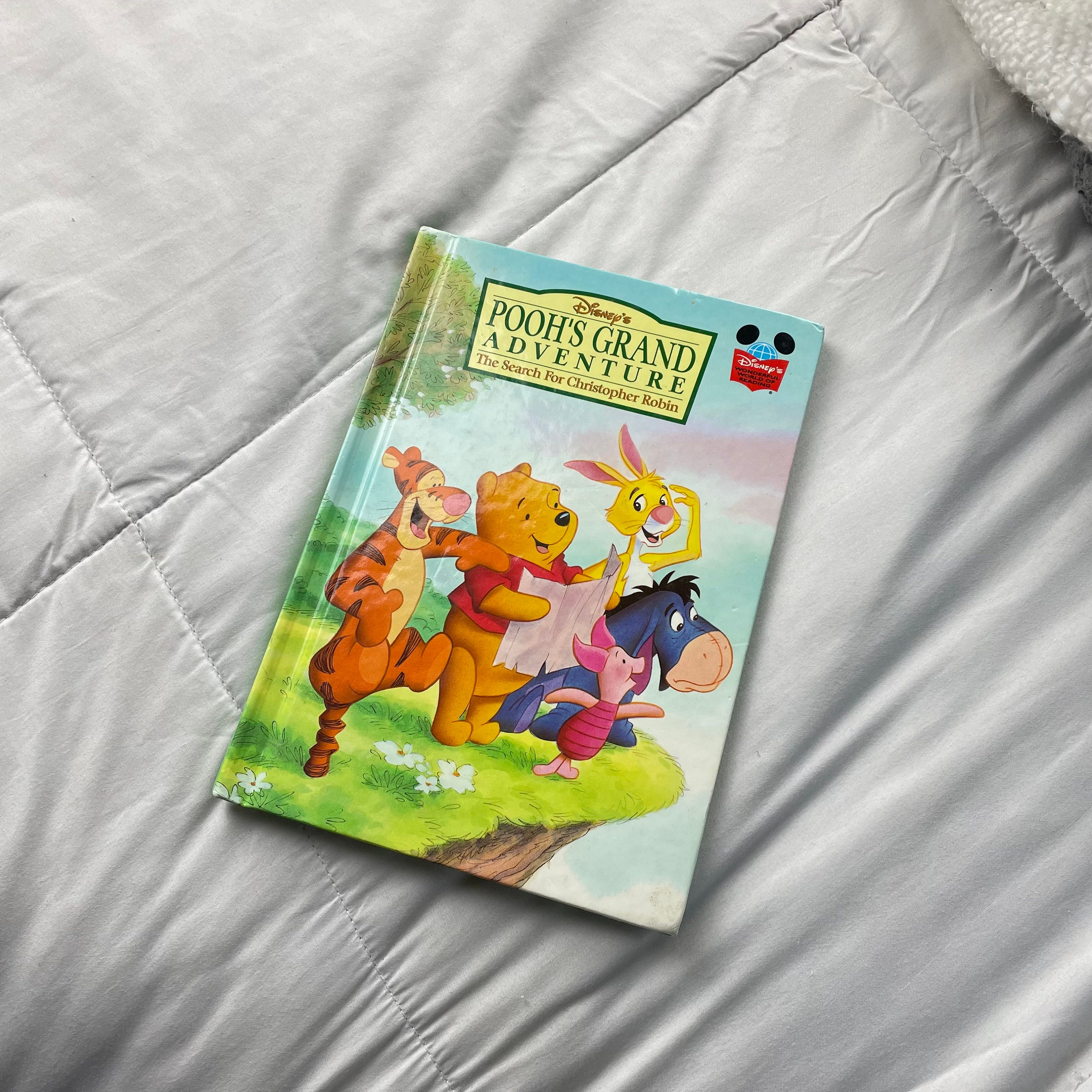 90 年代のヴィンテージ ディズニー くまのプーさん: プーさんの大冒険