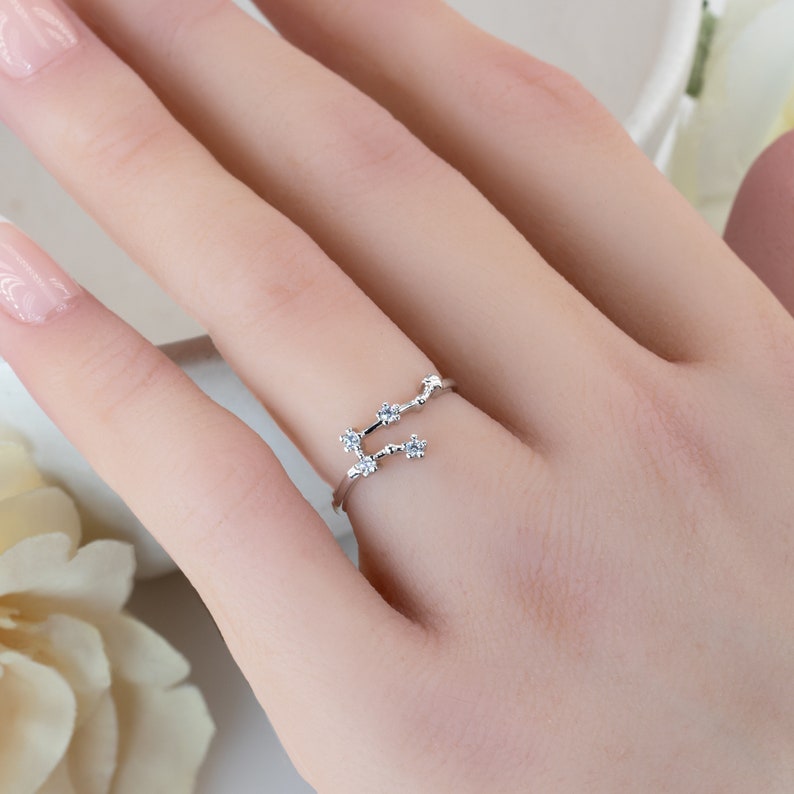 silver zodiac ring gift for women