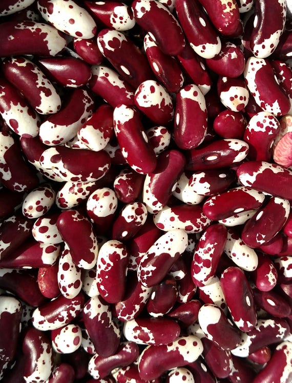 Image result for organic seeds