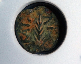 Roman Emperor Nero's Bronze Prutah Coin by Festus,Album,Story & Certificate 