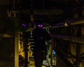 Glowing Eyes ( Pink, Green, Red, White, Blue)