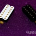 see more listings in the Humbucker section